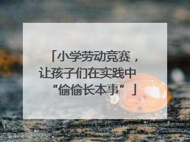 小学劳动竞赛，让孩子们在实践中“偷偷长本事”