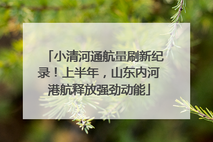 小清河通航量刷新纪录！上半年，山东内河港航释放强劲动能