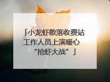 小龙虾散落收费站 工作人员上演暖心“抢虾大战”