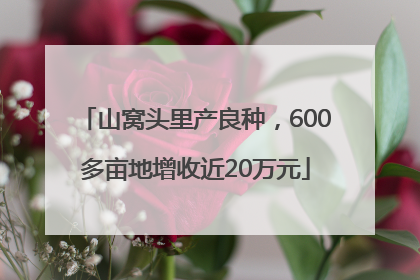 山窝头里产良种，600多亩地增收近20万元