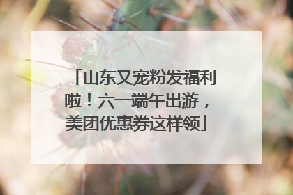 山东又宠粉发福利啦！六一端午出游，美团优惠券这样领
