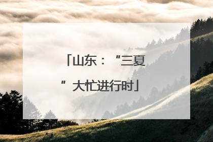 山东：“三夏”大忙进行时