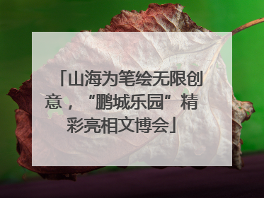 山海为笔绘无限创意，“鹏城乐园”精彩亮相文博会