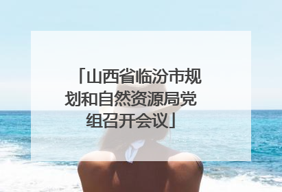 山西省临汾市规划和自然资源局党组召开会议