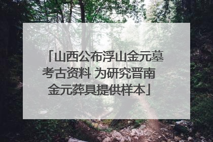 山西公布浮山金元墓考古资料 为研究晋南金元葬具提供样本