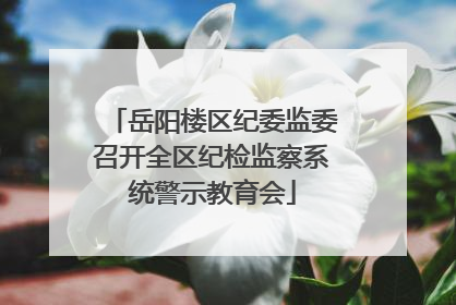 岳阳楼区纪委监委召开全区纪检监察系统警示教育会