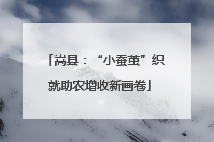 嵩县：“小蚕茧”织就助农增收新画卷