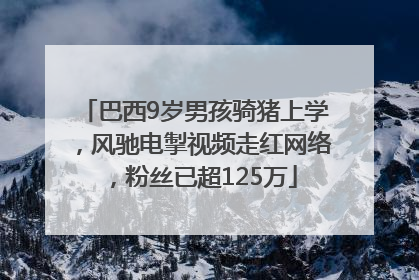 巴西9岁男孩骑猪上学，风驰电掣视频走红网络，粉丝已超125万