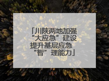 川陕两地加强“大应急”建设 提升基层应急“智”理能力