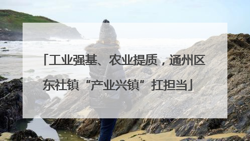 工业强基、农业提质，通州区东社镇“产业兴镇”扛担当
