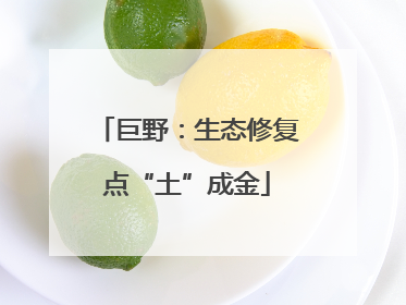 巨野：生态修复点“土”成金