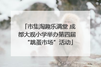 市集淘趣乐满堂 成都大观小学举办第四届“跳蚤市场”活动