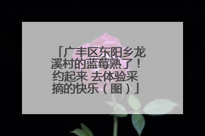 广丰区东阳乡龙溪村的蓝莓熟了！约起来 去体验采摘的快乐（图）