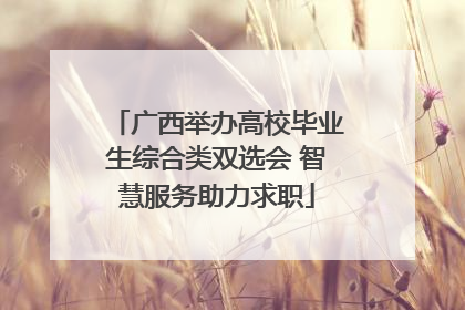广西举办高校毕业生综合类双选会 智慧服务助力求职