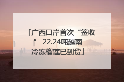 广西口岸首次“签收” 22.24吨越南冷冻榴莲已到货