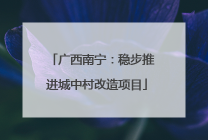 广西南宁：稳步推进城中村改造项目