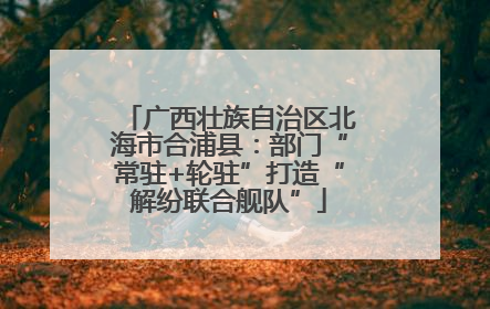 广西壮族自治区北海市合浦县：部门“常驻+轮驻”打造“解纷联合舰队”