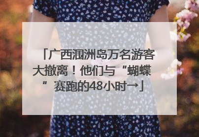 广西涠洲岛万名游客大撤离！他们与“蝴蝶”赛跑的48小时→