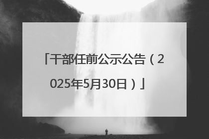 干部任前公示公告（2025年5月30日）