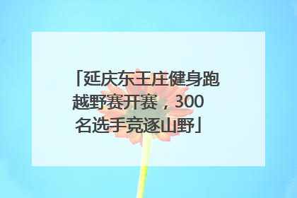 延庆东王庄健身跑越野赛开赛，300名选手竞逐山野