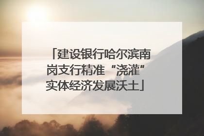 建设银行哈尔滨南岗支行精准“浇灌”实体经济发展沃土