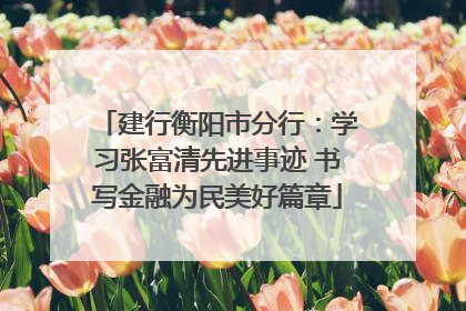 建行衡阳市分行：学习张富清先进事迹 书写金融为民美好篇章