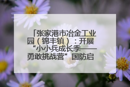 张家港市冶金工业园（锦丰镇）：开展“小小兵成长季——勇敢挑战营”国防启蒙教育活动