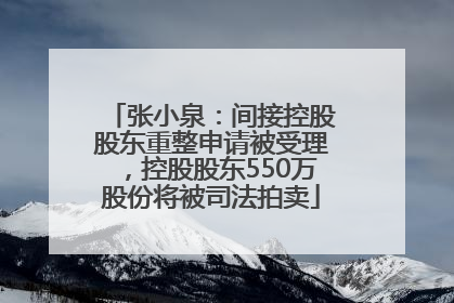 张小泉：间接控股股东重整申请被受理，控股股东550万股份将被司法拍卖