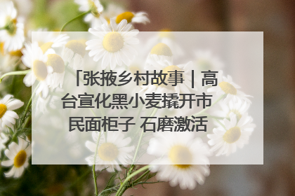张掖乡村故事｜高台宣化黑小麦撬开市民面柜子 石磨激活村集体钱匣子