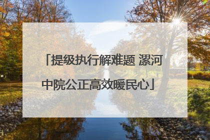 提级执行解难题 漯河中院公正高效暖民心
