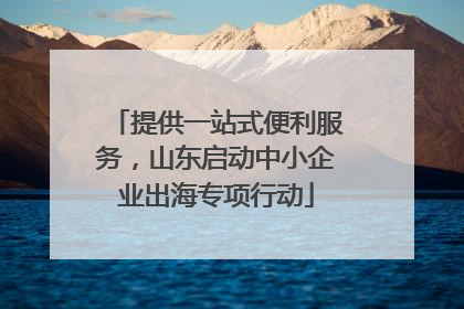 提供一站式便利服务，山东启动中小企业出海专项行动