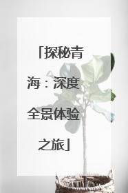 探秘青海：深度全景体验之旅