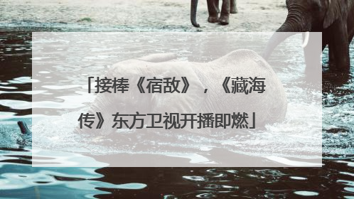 接棒《宿敌》，《藏海传》东方卫视开播即燃