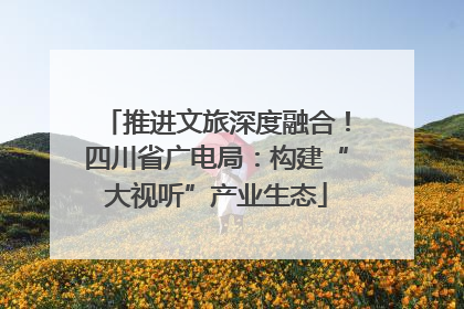 推进文旅深度融合！四川省广电局：构建“大视听”产业生态