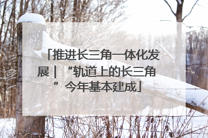 推进长三角一体化发展｜“轨道上的长三角”今年基本建成