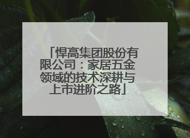 悍高集团股份有限公司：家居五金领域的技术深耕与上市进阶之路