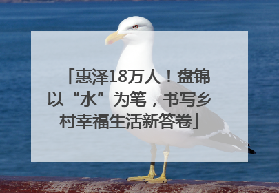 惠泽18万人！盘锦以“水”为笔，书写乡村幸福生活新答卷