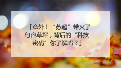 意外！“苏超”带火了句容草坪，背后的“科技密码”你了解吗？