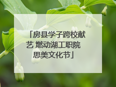 房县学子跨校献艺 燃动湖工职院思美文化节