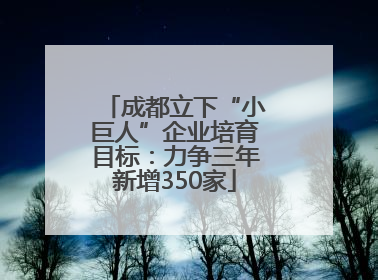 成都立下“小巨人”企业培育目标：力争三年新增350家