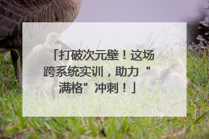 打破次元壁！这场跨系统实训，助力“满格”冲刺！