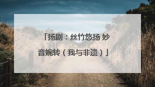 扬剧：丝竹悠扬 妙音婉转（我与非遗）