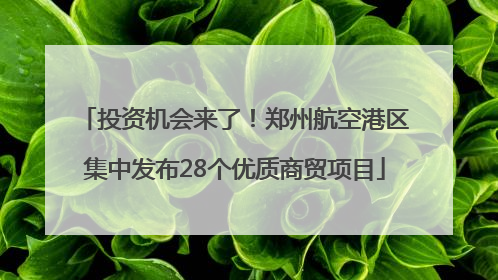 投资机会来了！郑州航空港区集中发布28个优质商贸项目