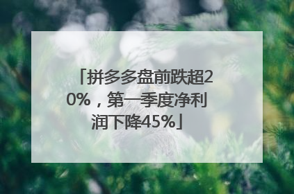拼多多盘前跌超20%，第一季度净利润下降45%