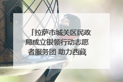 拉萨市城关区民政局成立银领行动志愿者服务团 助力西藏银发经济发展
