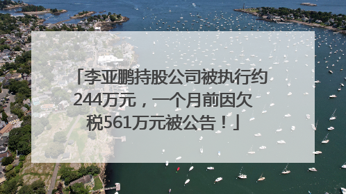 李亚鹏持股公司被执行约244万元，一个月前因欠税561万元被公告！