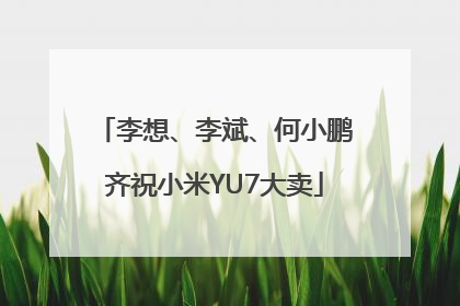 李想、李斌、何小鹏齐祝小米YU7大卖