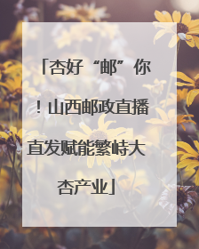 杏好“邮”你！山西邮政直播直发赋能繁峙大杏产业