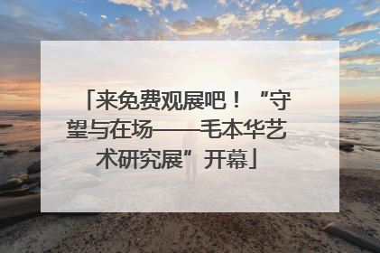 来免费观展吧！“守望与在场——毛本华艺术研究展”开幕