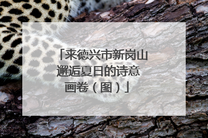 来德兴市新岗山 邂逅夏日的诗意画卷（图）
